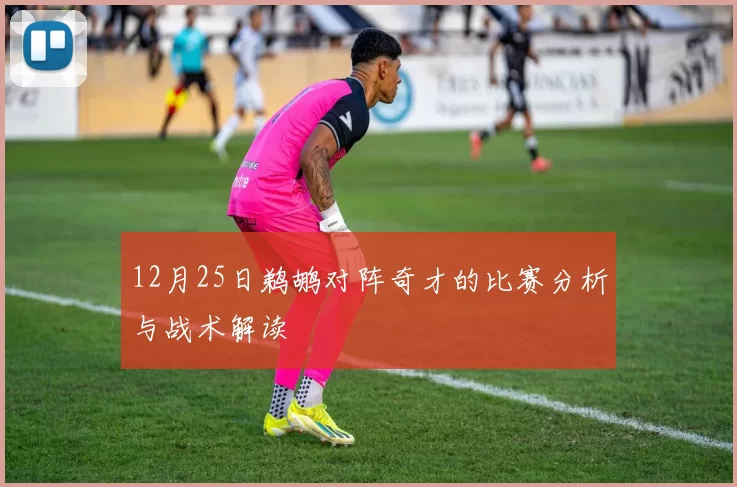 12月25日鹈鹕对阵奇才的比赛分析与战术解读