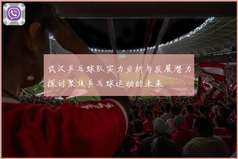 武汉乒乓球队实力分析与发展潜力探讨聚焦乒乓球运动的未来