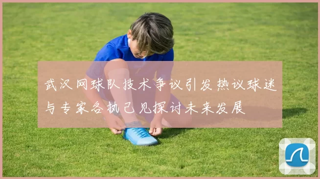 武汉网球队技术争议引发热议球迷与专家各执己见探讨未来发展