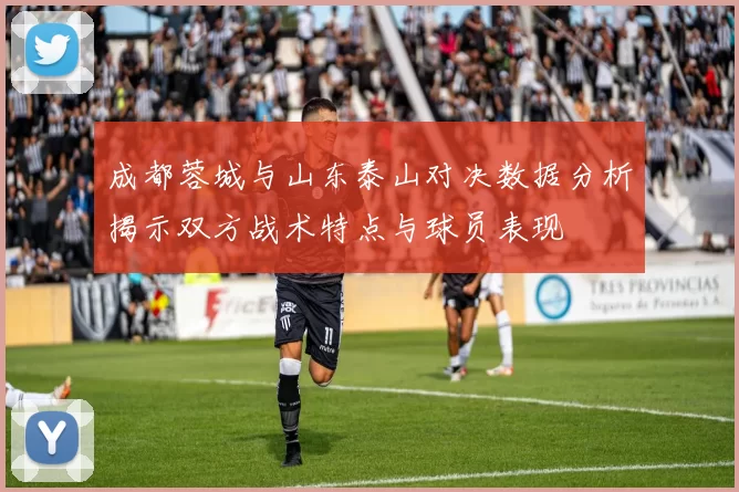 成都蓉城与山东泰山对决数据分析揭示双方战术特点与球员表现