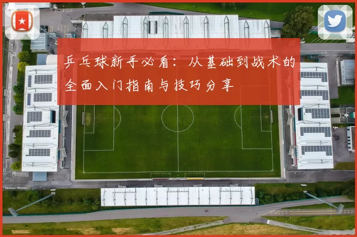 乒乓球新手必看：从基础到战术的全面入门指南与技巧分享