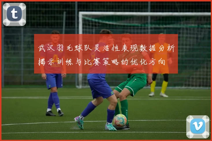 武汉羽毛球队灵活性表现数据分析揭示训练与比赛策略的优化方向