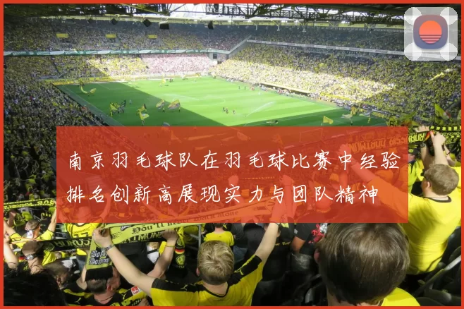 南京羽毛球队在羽毛球比赛中经验排名创新高展现实力与团队精神