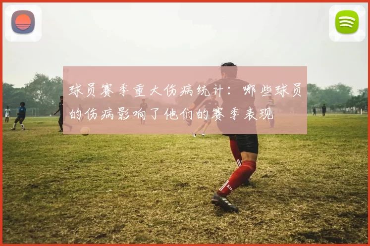 球员赛季重大伤病统计：哪些球员的伤病影响了他们的赛季表现