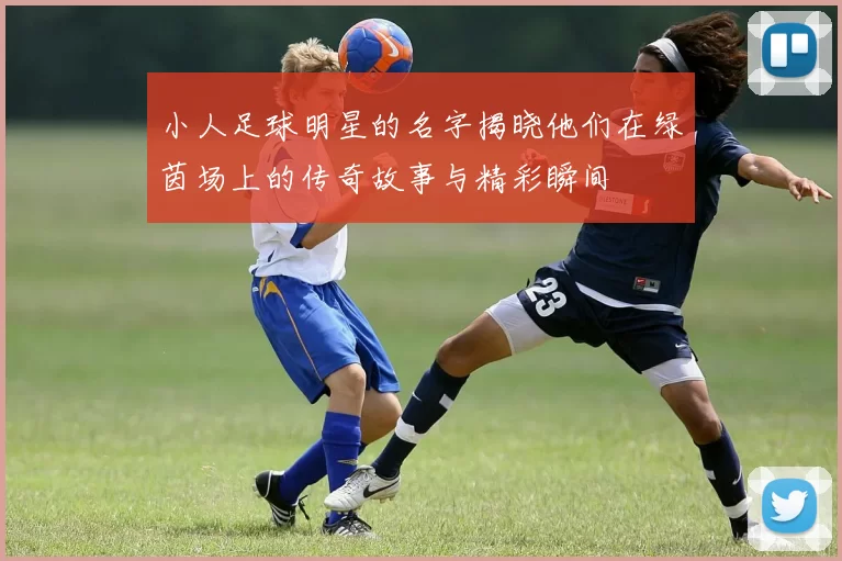 小人足球明星的名字揭晓他们在绿茵场上的传奇故事与精彩瞬间