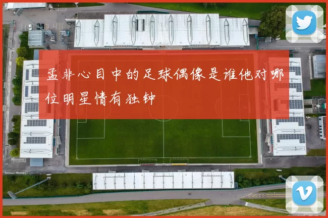 孟非心目中的足球偶像是谁他对哪位明星情有独钟